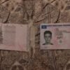 Belgium Driving License