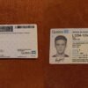 Canada Quebec Driver License