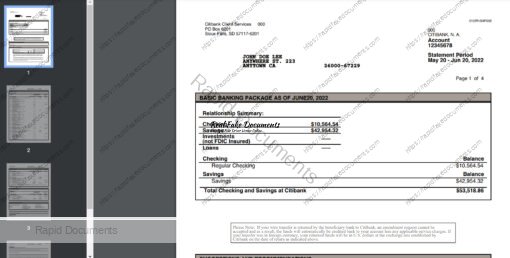 Citibank Statement