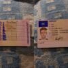 Denmark Driving License