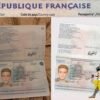 France passport