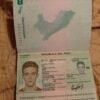 Peru passport