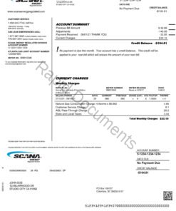 SCANA Bill