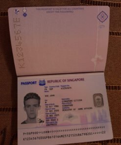 Singapore passport