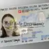Swiss id card