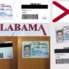 USA Alabama DL