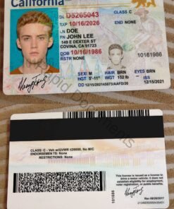 USA California Driver's License