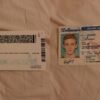 USA Delaware Driver License