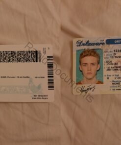 USA Delaware Driver License