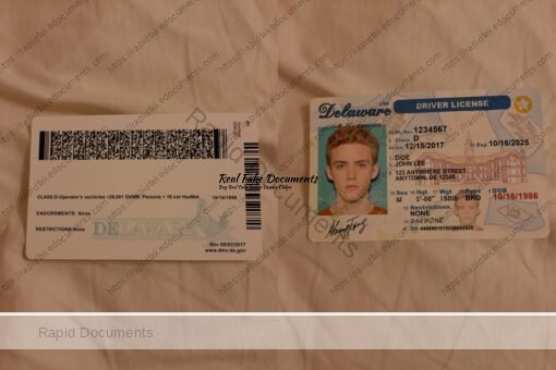 USA Delaware Driver License