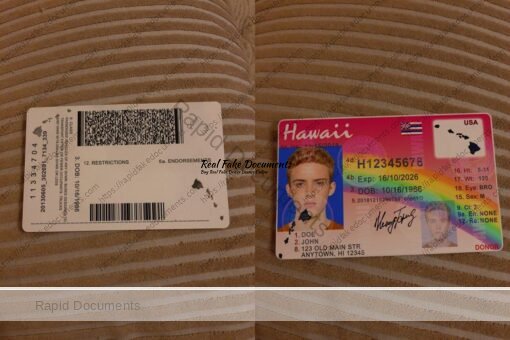 USA Hawaii Driver License