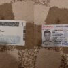 USA Indiana Driver License