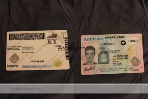 USA Kentucky Driver License