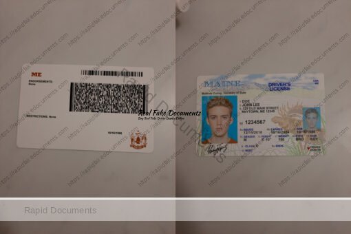 USA Maine Driver License