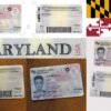 USA Maryland DL