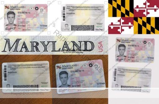 USA Maryland DL