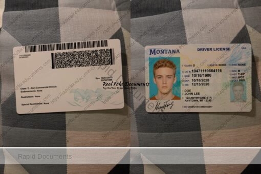 USA Montana Driver License