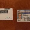 USA Nevada Driver License
