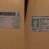 USA New Hampshire Driver License