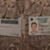 USA Oklahoma Driver License
