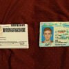 USA Tennessee Driver License