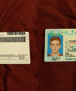 USA Tennessee Driver License