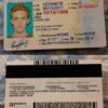 USA Texas Driver License