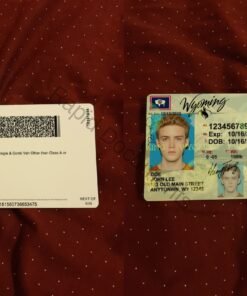 USA Wyoming Driver License