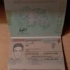 Ireland Passport