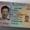 netherlands id card