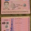 Netherlands Driving License