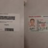 USA South Carolina Driver License